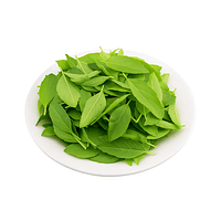 Tulsi Pata Tulsi Leaves Tulsi Pata