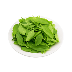 Tulsi Pata Tulsi Leaves Tulsi Pata