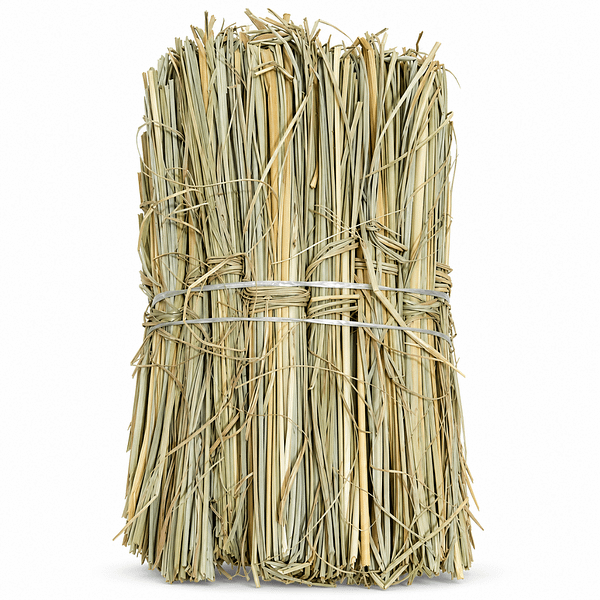 3 Kusha Grass (Darbha Grass)