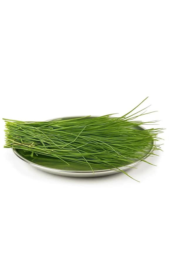 Fresh Dhurva Grass Fresh Dhurva Grass